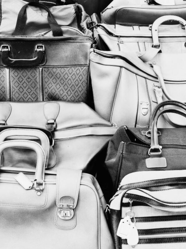 Iconic Bags and Their Stories