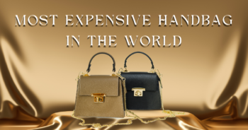 Most Expensive Handbag in the World